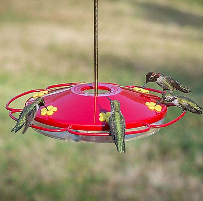 The Oasis Hummingbird Feeder