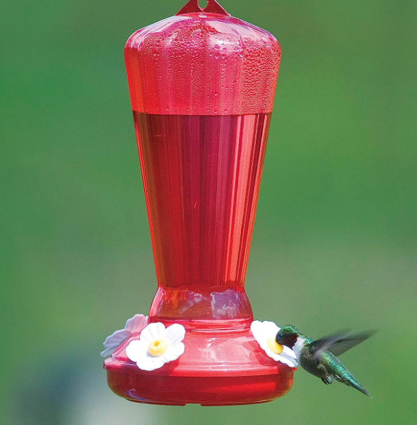 Hollyhock Hummingbird Feeder