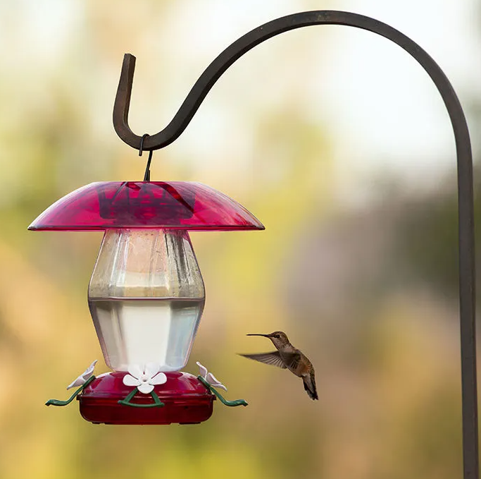 Jubilee Hummingbird Feeder with Ant Moat
