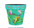 Zest Hummingbird Plastic Pot