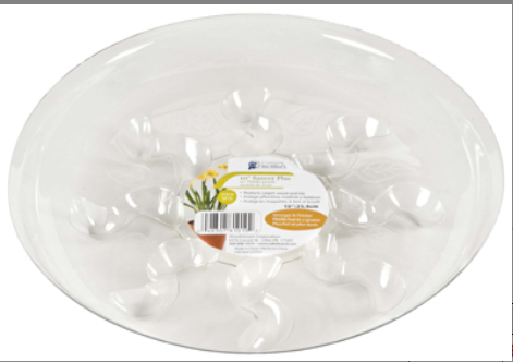 Saucer Plus