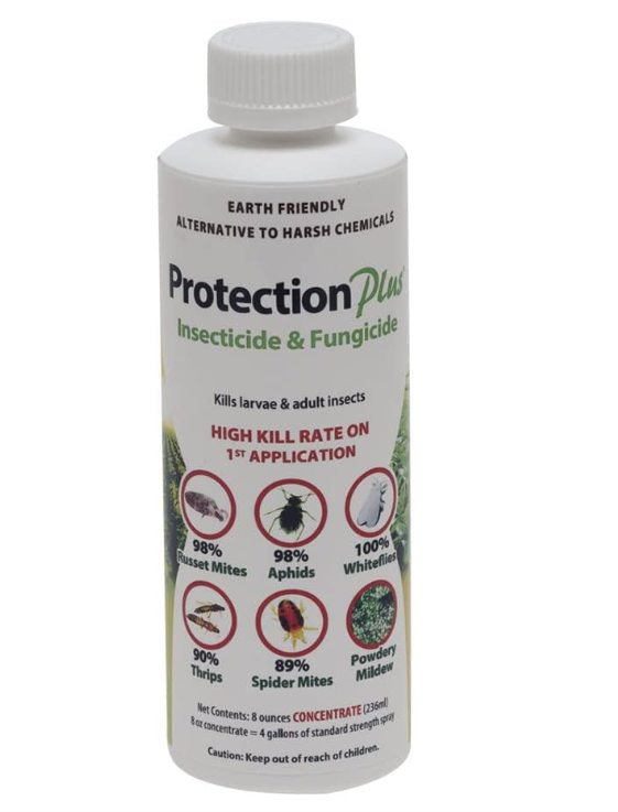 Protection Plus