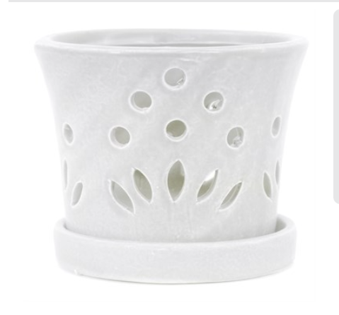 7.1" Round Orchid Pot