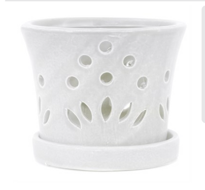 7.1" Round Orchid Pot