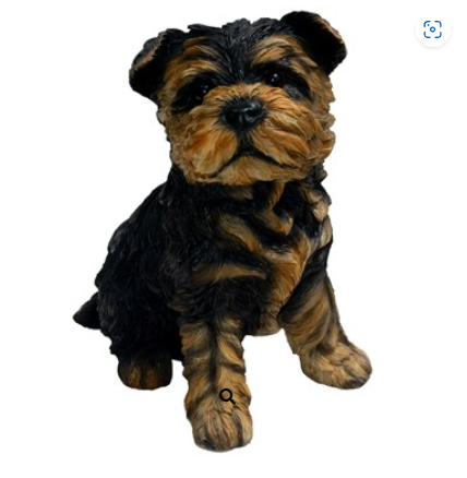 8.1" Yorkshire Terrier Puppy