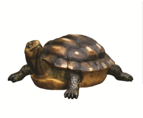 Large Turtle