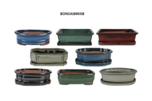 8" Bonsai Indoor Planter with Saucer