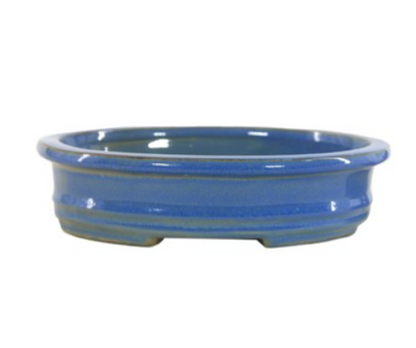 8" Bonsai Indoor Planter with Saucer