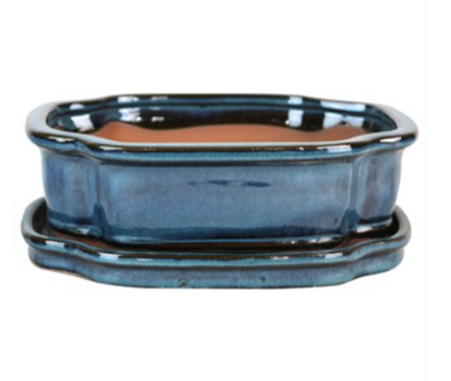 8" Bonsai Indoor Planter with Saucer