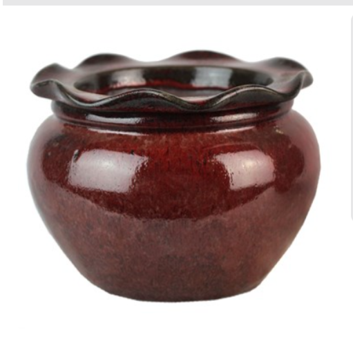 5.1" Self Watering Scallop Pot