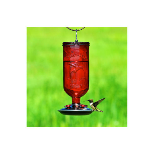 Antique Bottle Hummingbird Feeder