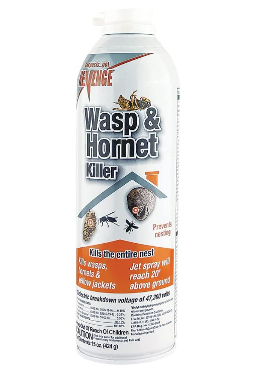 Revenge Wasp & Hornet Foam