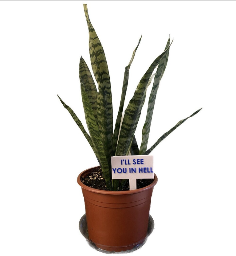 Funny Plant Signs