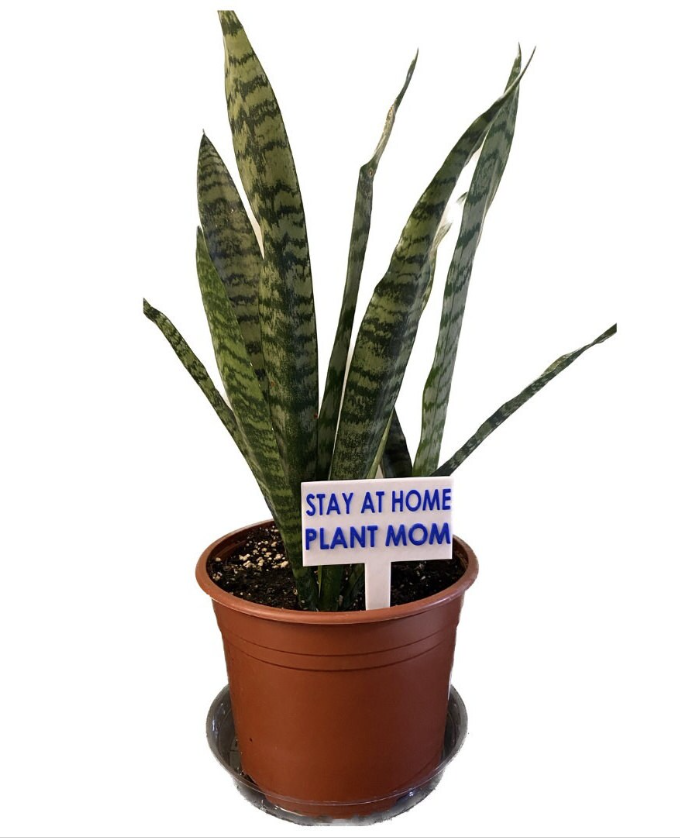 Funny Plant Signs