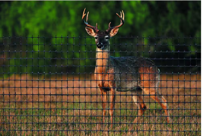 7.5' x 100' Deer Fence