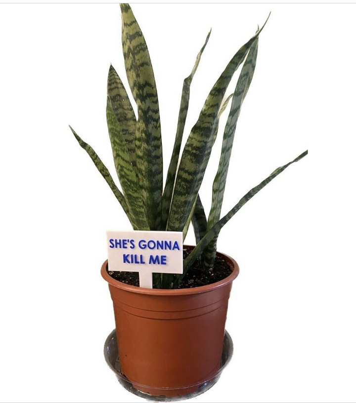 Funny Plant Signs