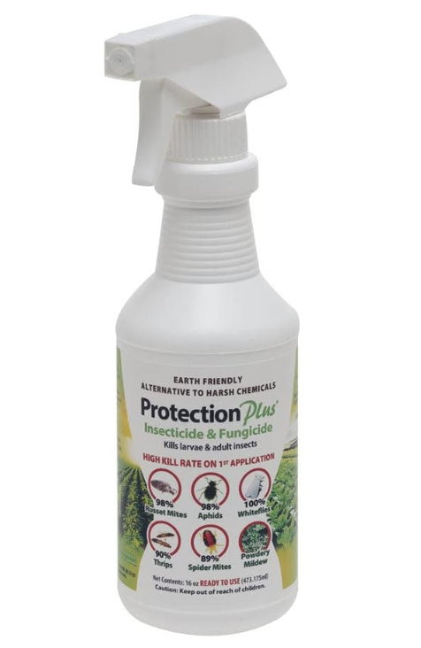 Protection Plus