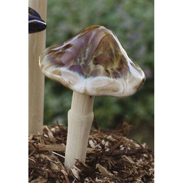 Natural Mushroom