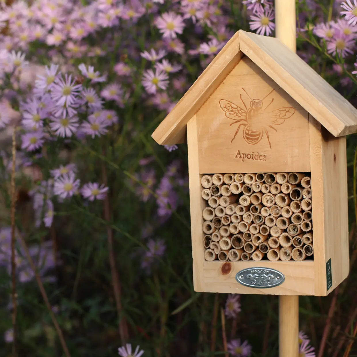 Bee House with Line Drawing