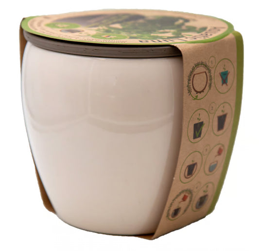 5.75" Self-Watering Aquatic Planter White