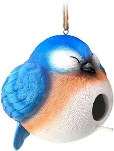 Bluebird Birdhouse