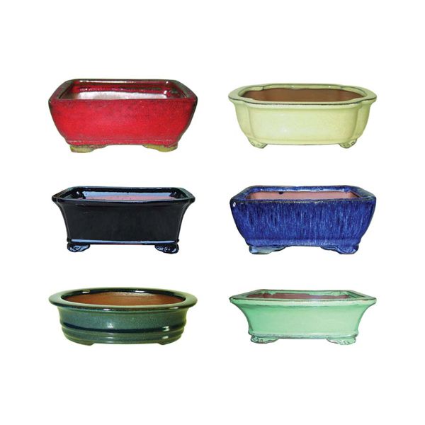 8" Standard Bonsai Pot