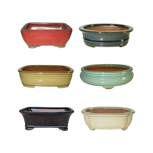10" Standard Bonsai Pot