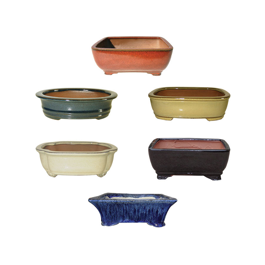 12" Cactus and Bonsai Pot