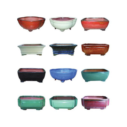 6" Professional Bonsai Pot
