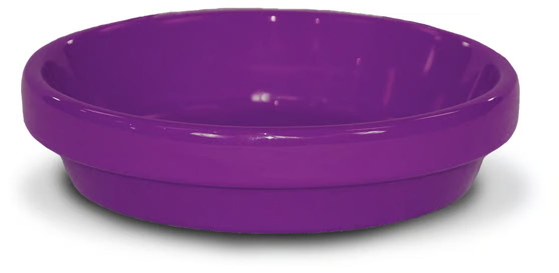 Powder Coated Standard Saucer