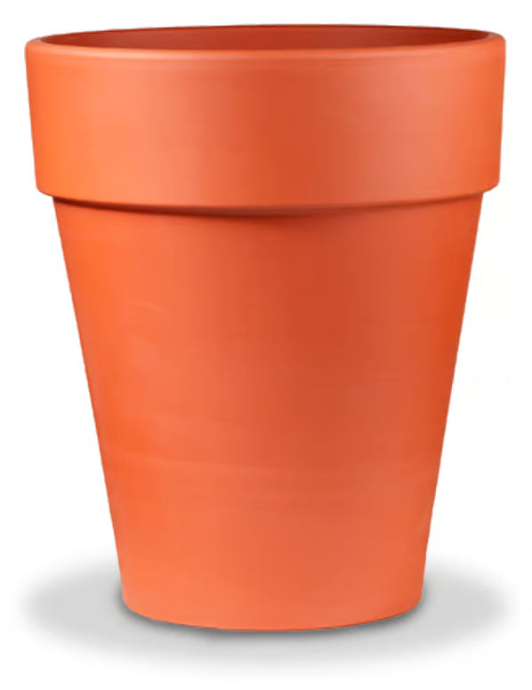 6.5" Rose Pot Red Clay