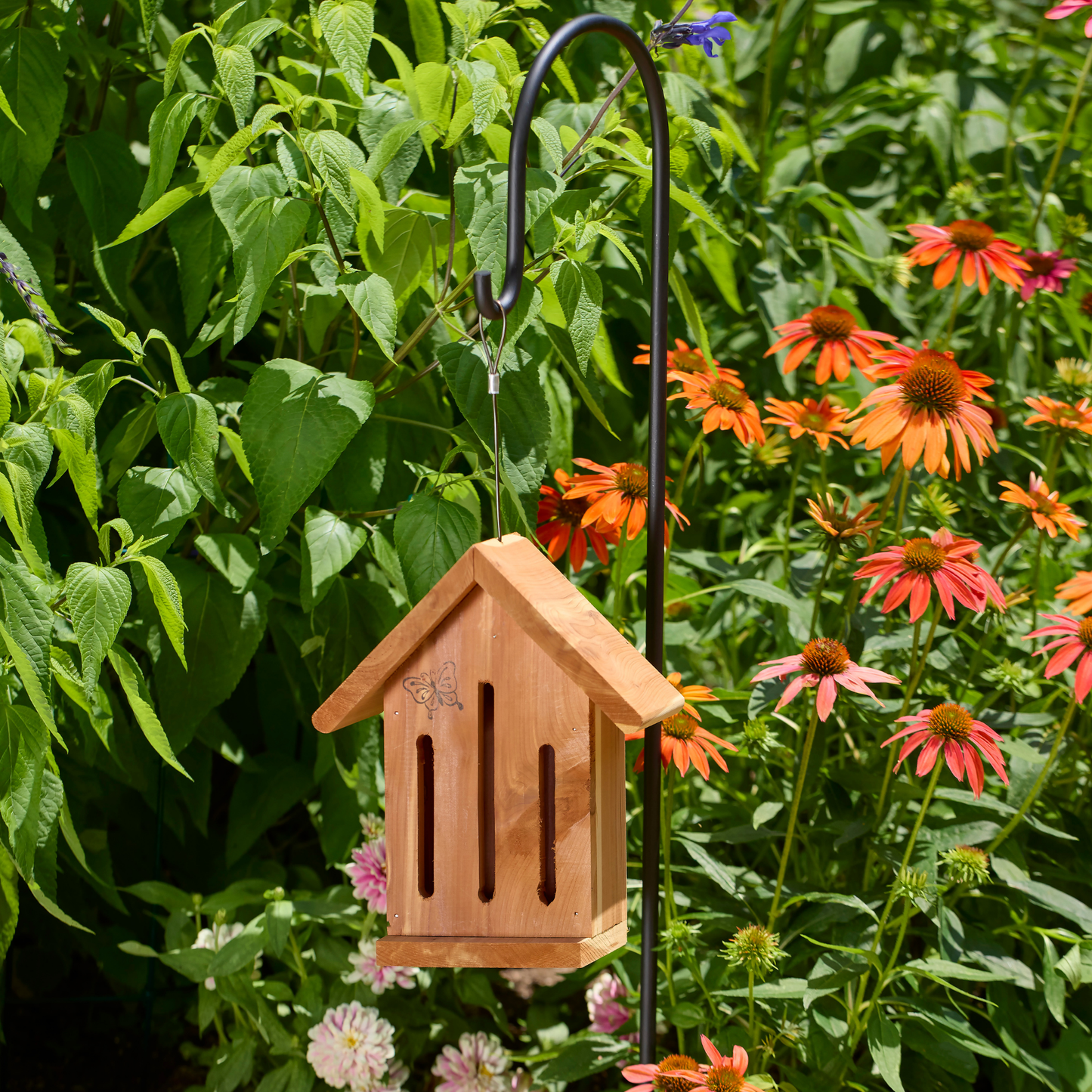 Cedar Butterfly House
