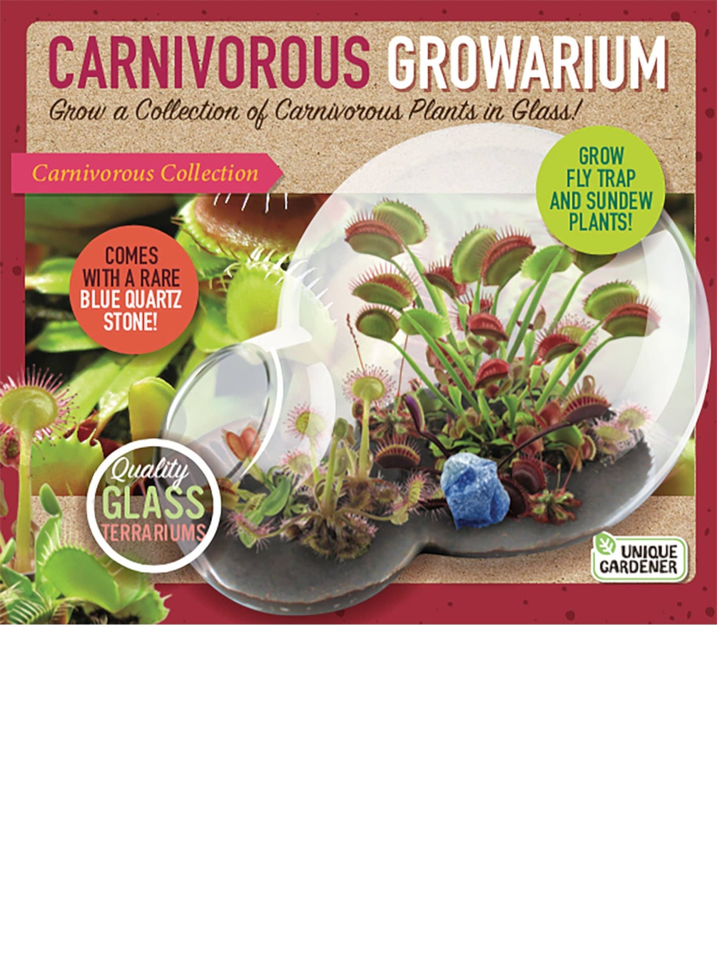 Carnivorous Growarium Glass Terrarium