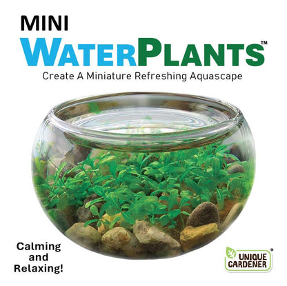 Mini WaterPlants