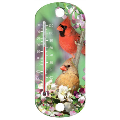 8" Cardinal Indoor/Outdoor Tube Thermometer