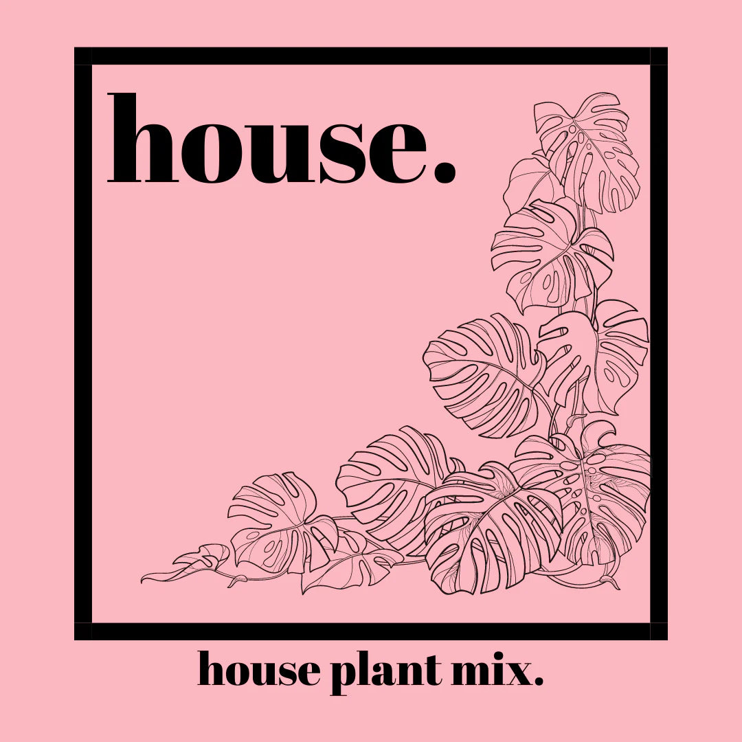 Tilth Soil: House Organic Indoor Houseplant Soil Mix