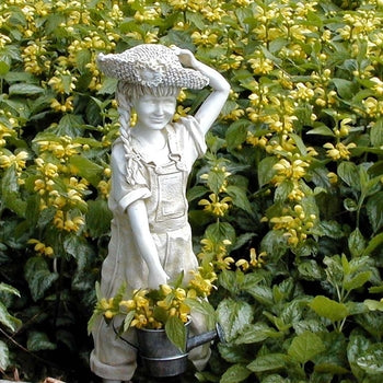 Lamiastrum 'Galeobdolon Variegated' False Lamium