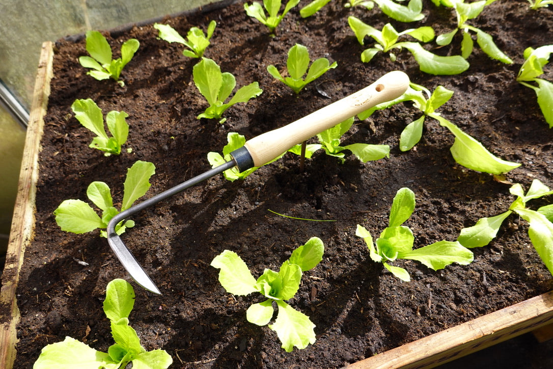 DeWit Weeder - Midsize Handle Right Hand -Ship Only