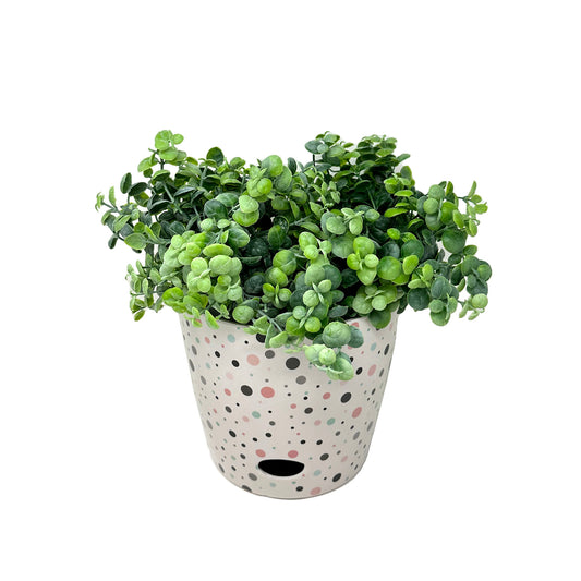 7" Dots Round Self-Watering Bamboo Pot -Ship Only