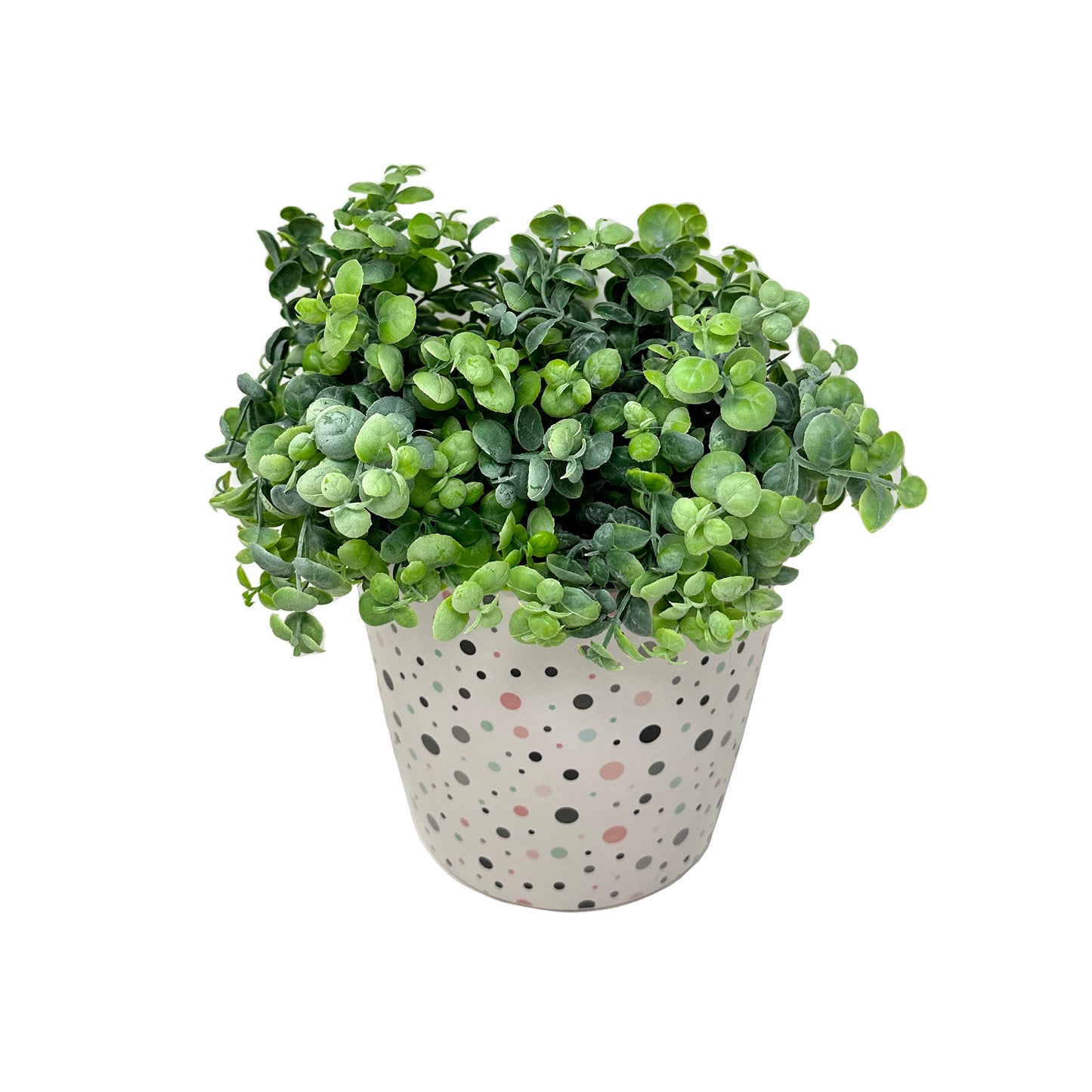 7" Dots Round Self-Watering Bamboo Pot -Ship Only