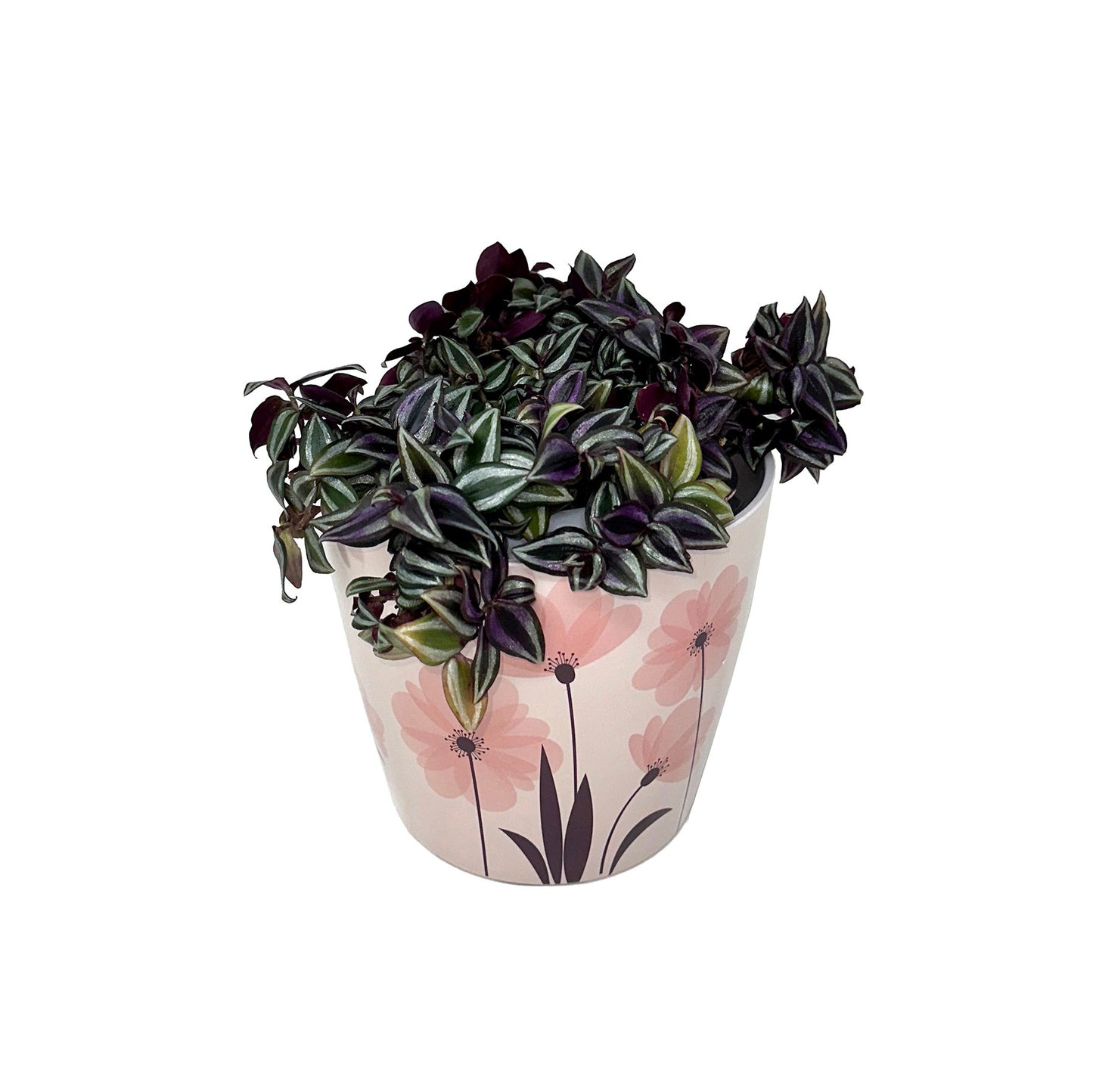 7" Pink Flower Round Self-Watering Bamboo Pot -Ship Only