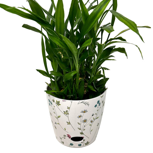 7" Wildflower Round Self-Watering Bamboo Pot -Ship Only