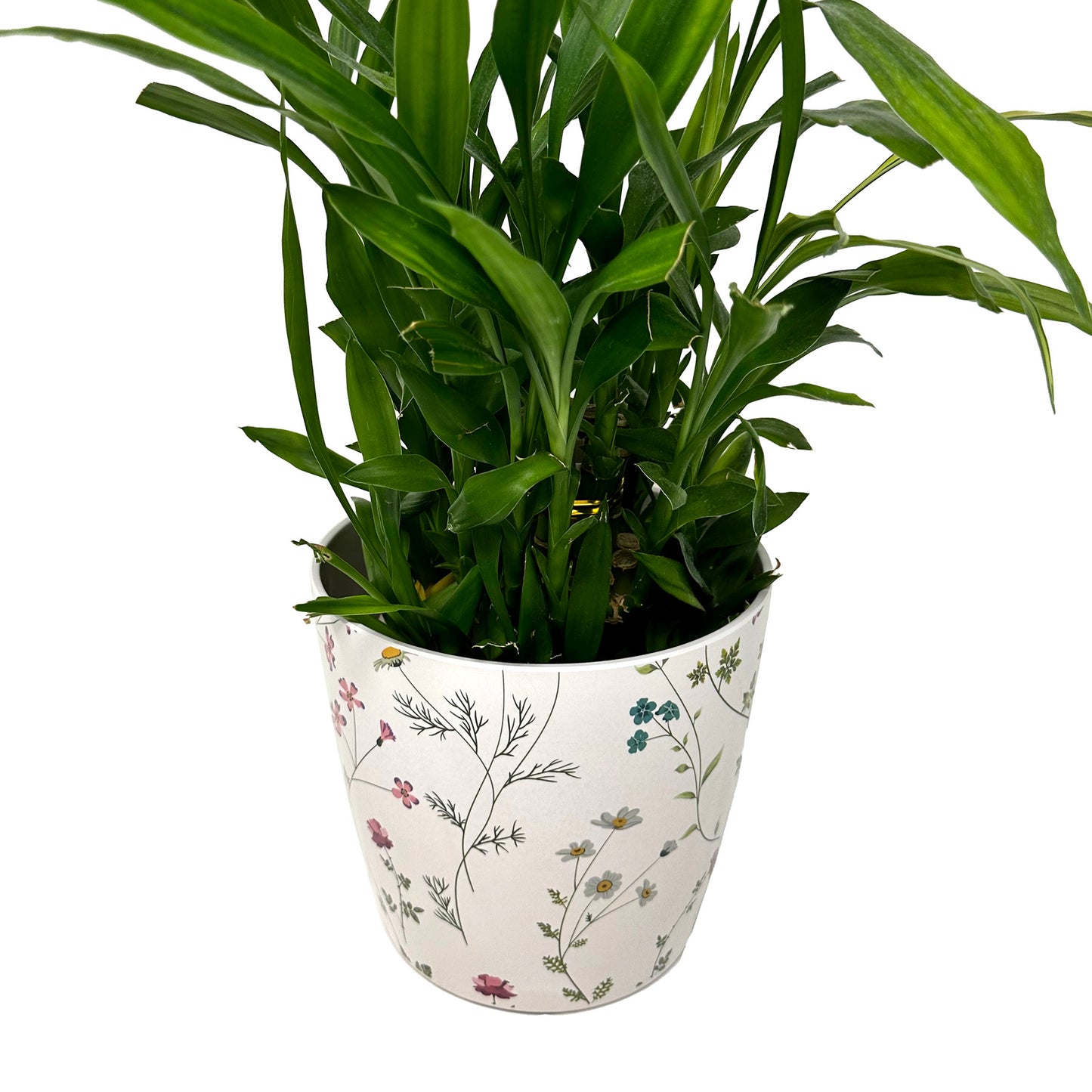 7" Wildflower Round Self-Watering Bamboo Pot -Ship Only