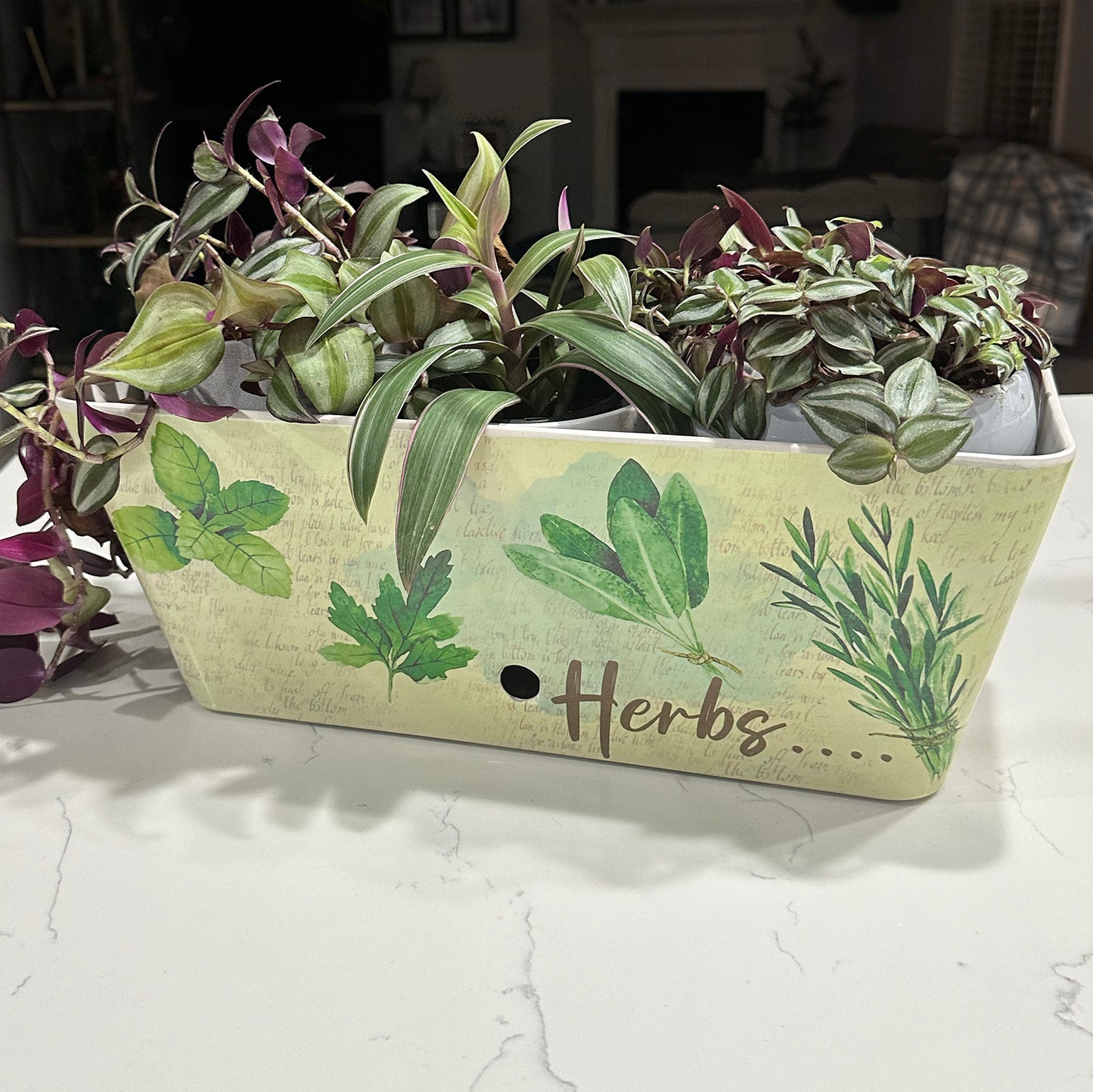 16" Herbs Rectangular Self-Watering Bamboo Planter -Ship Only