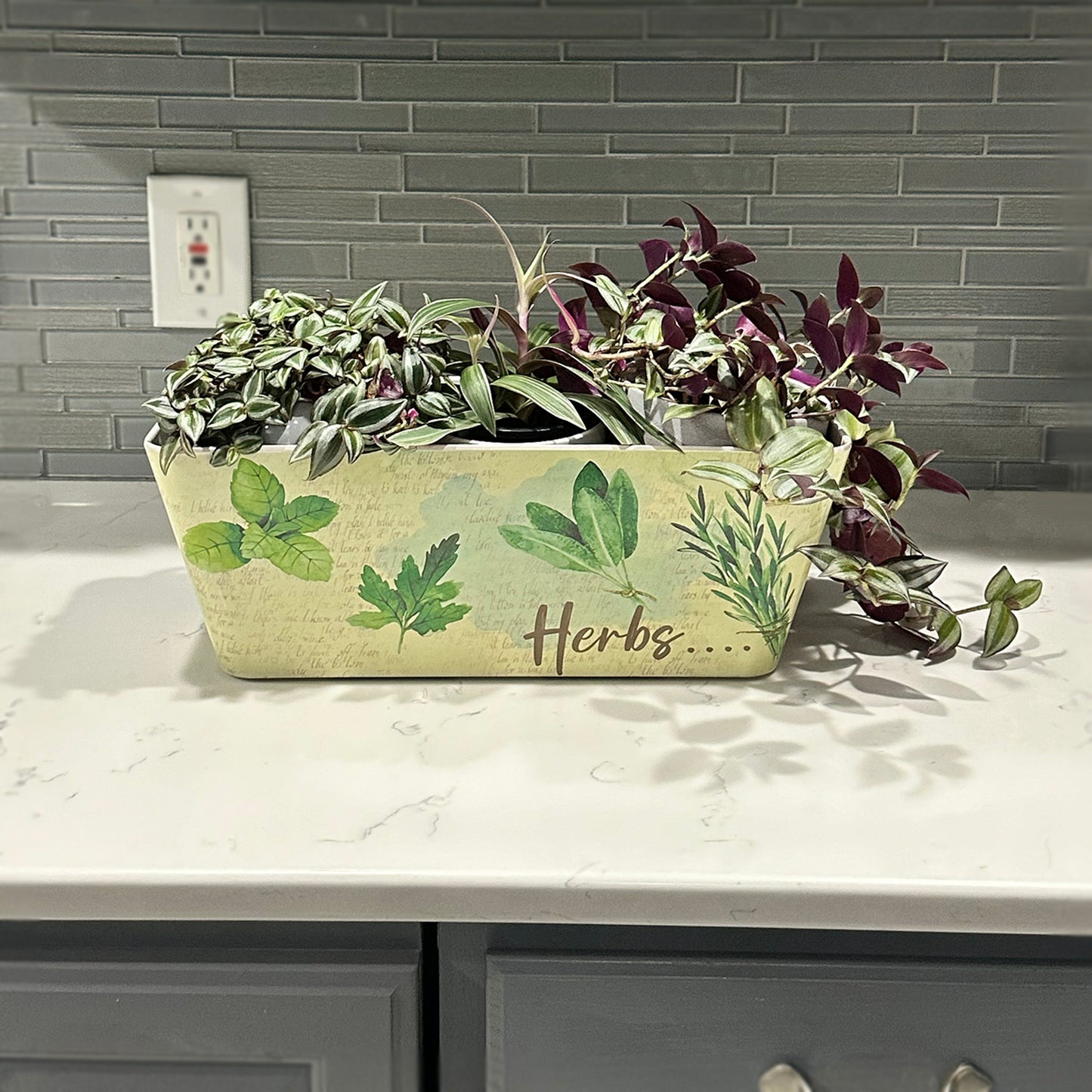 16" Herbs Rectangular Self-Watering Bamboo Planter -Ship Only