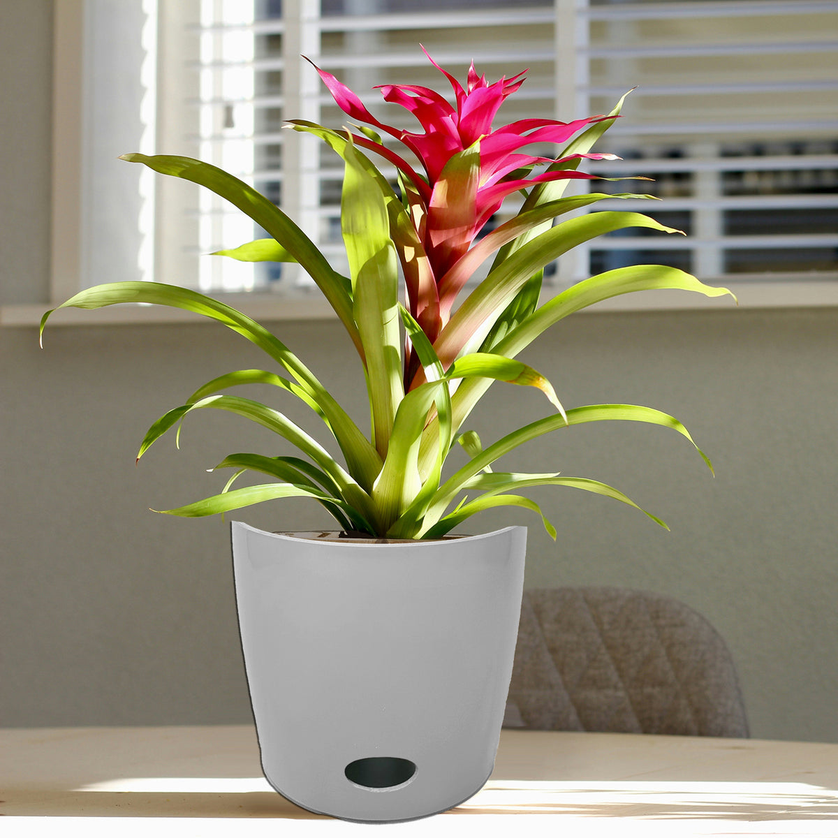 7" Gray Round Self-Watering Bamboo Pot -Ship Only