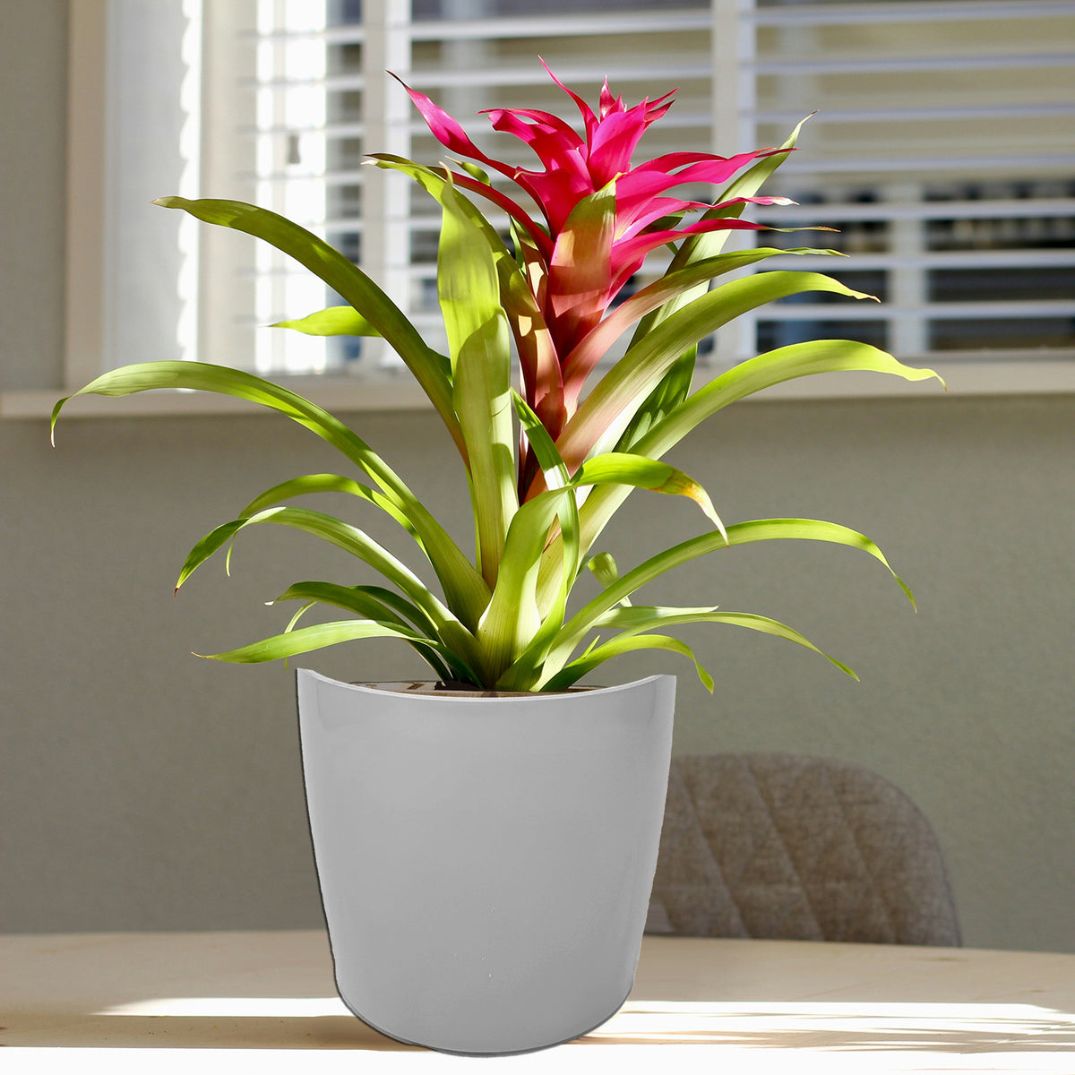 7" Gray Round Self-Watering Bamboo Pot -Ship Only