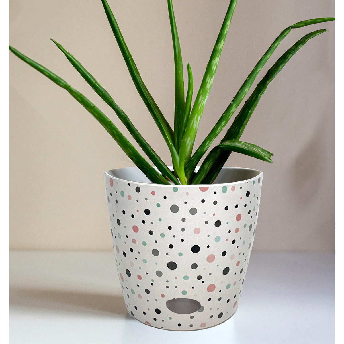 7" Dots Round Self-Watering Bamboo Pot -Ship Only