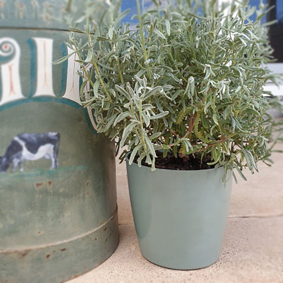 7" Sage Green Round Self-Watering Bamboo Pot -Ship Only