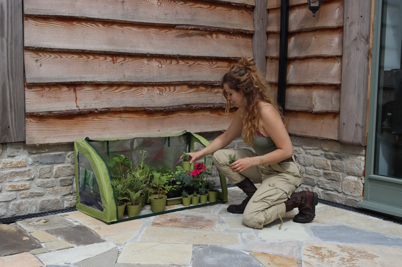 Light-Booster Coldframe -Ship Only